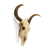 Bull Skull Wall Decor by Zentique
