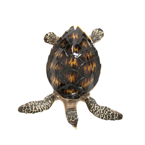 Sea Turtle Sculpture (M) by Zentique