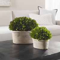 Uttermost Oval Domes Preserved Boxwood Set/2