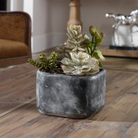 Uttermost Alverio Desert Garden Succulents