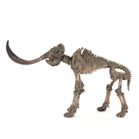 Mammoth Skeleton by Zentique