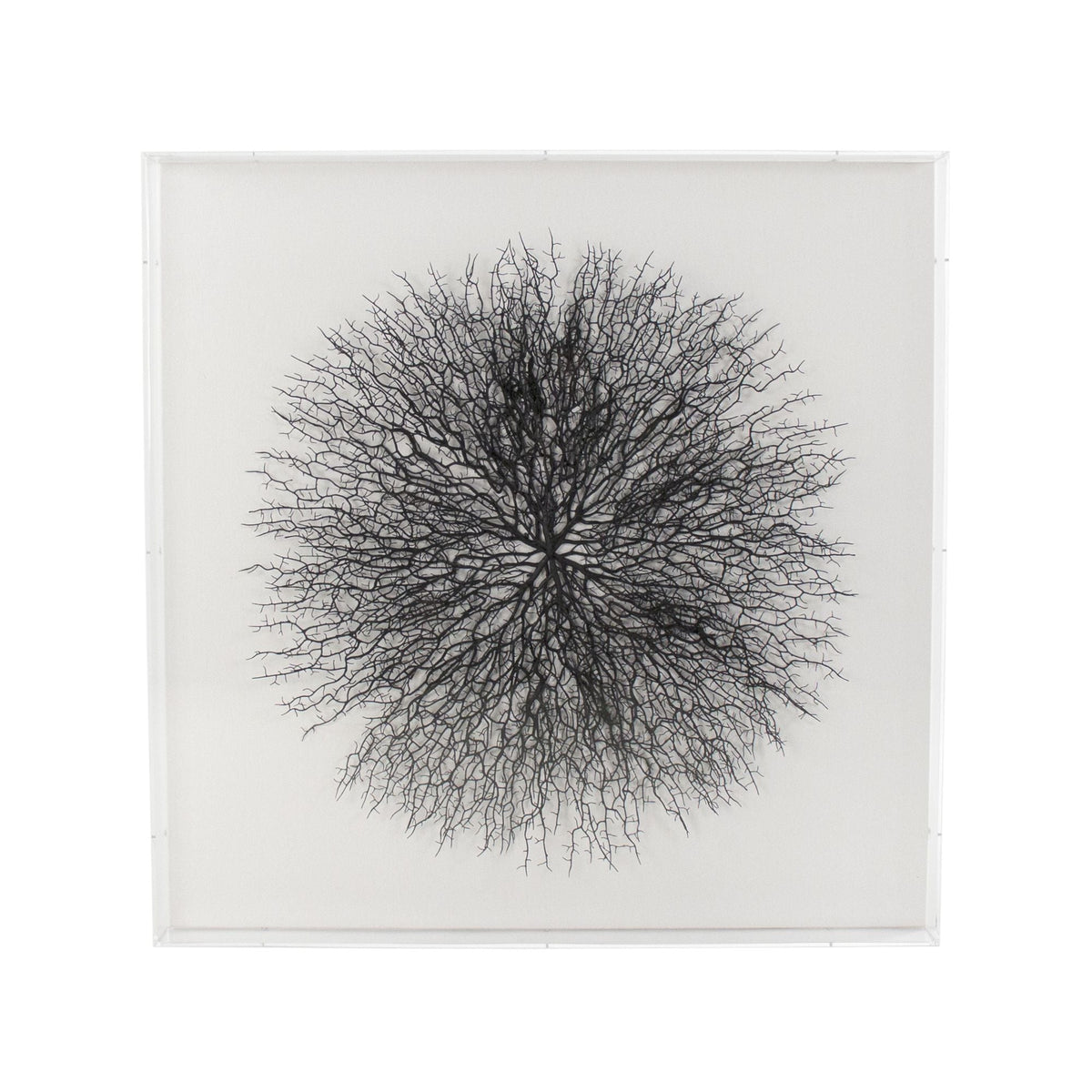 Abstract Branches in Acrylic Wall Art by Zentique