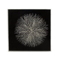 Abstract Branches in Acrylic Wall Art by Zentique