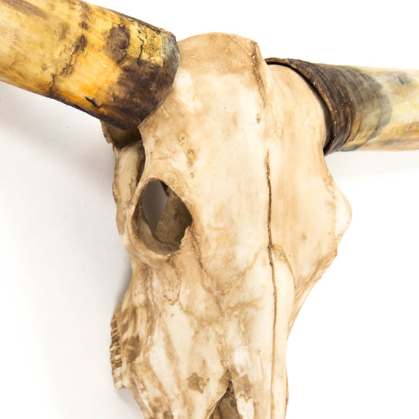 Texas Long Horn Skull Wall Decor by Zentique