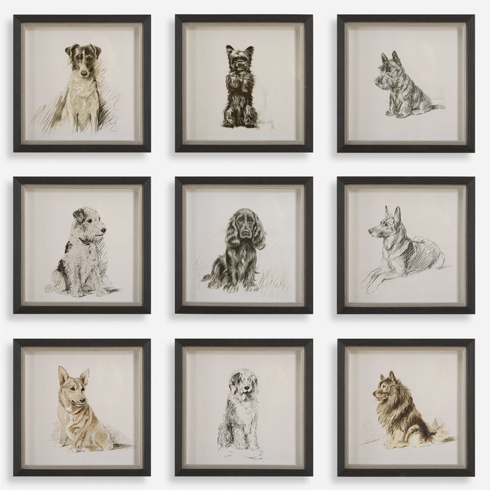 Uttermost Loyal Companion Framed Dog Prints, S/9