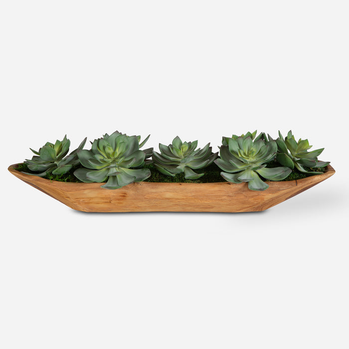 Uttermost Yuma Succulent Centerpieces