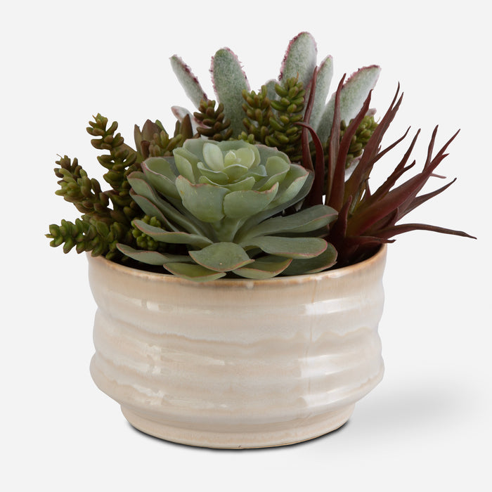 Uttermost Mesa Succulent Accent