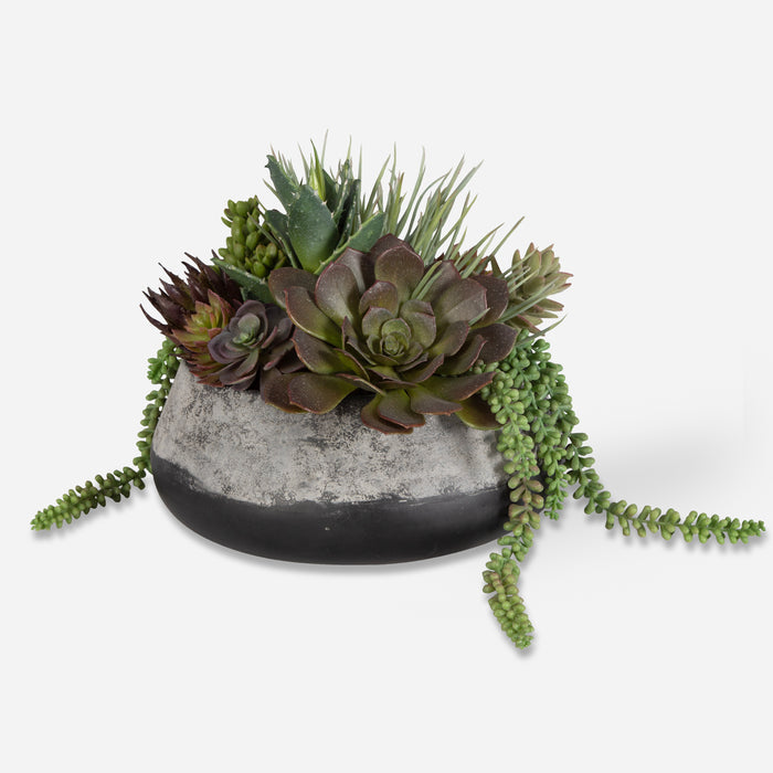 Uttermost Yuma Succulent Centerpiece