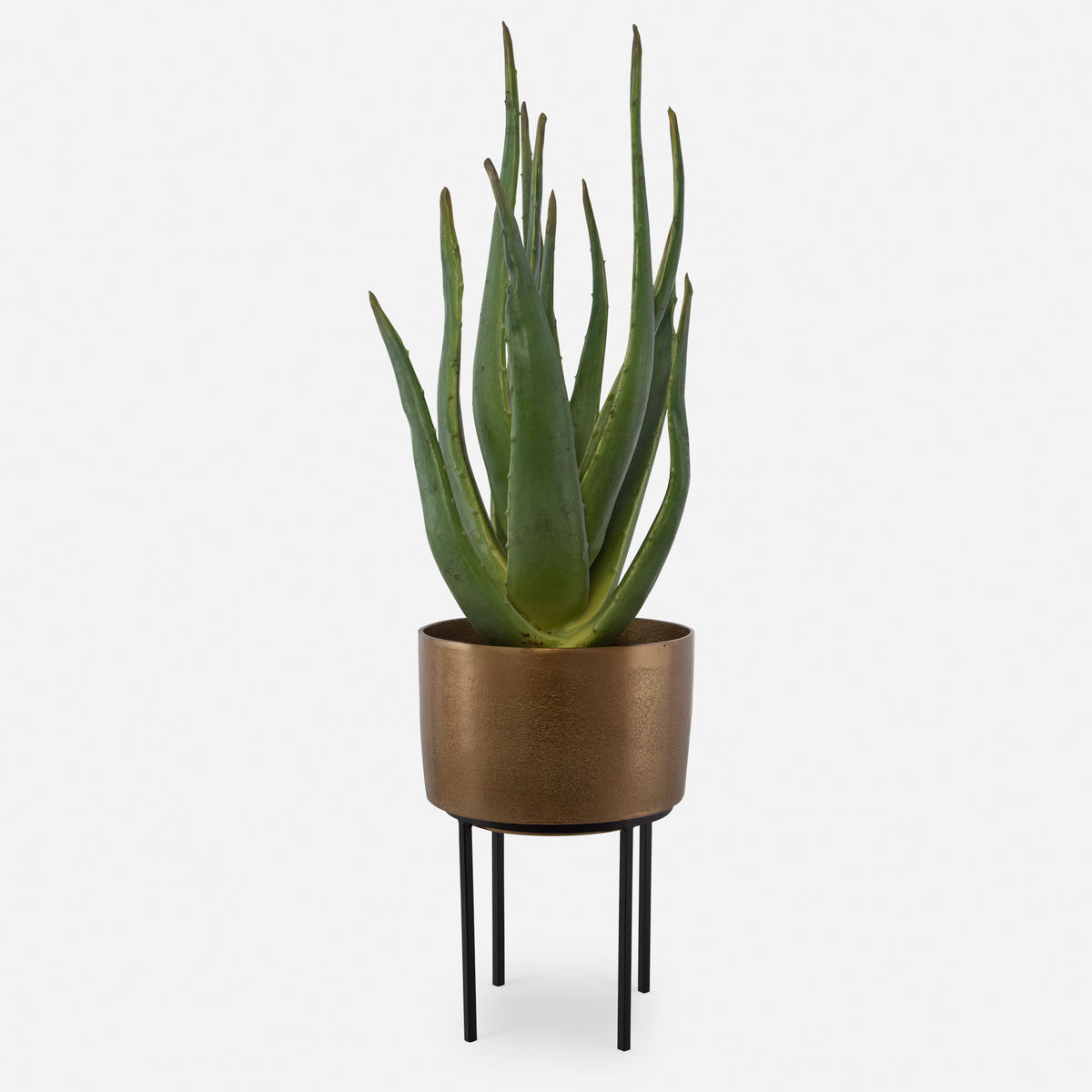 Uttermost Arabia Aloe Planter