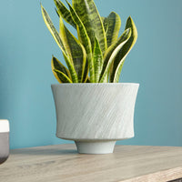 Selena Slab Planter-SM by Cyan