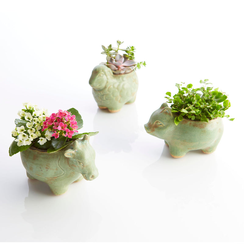 Lala Lamb Planter by Cyan