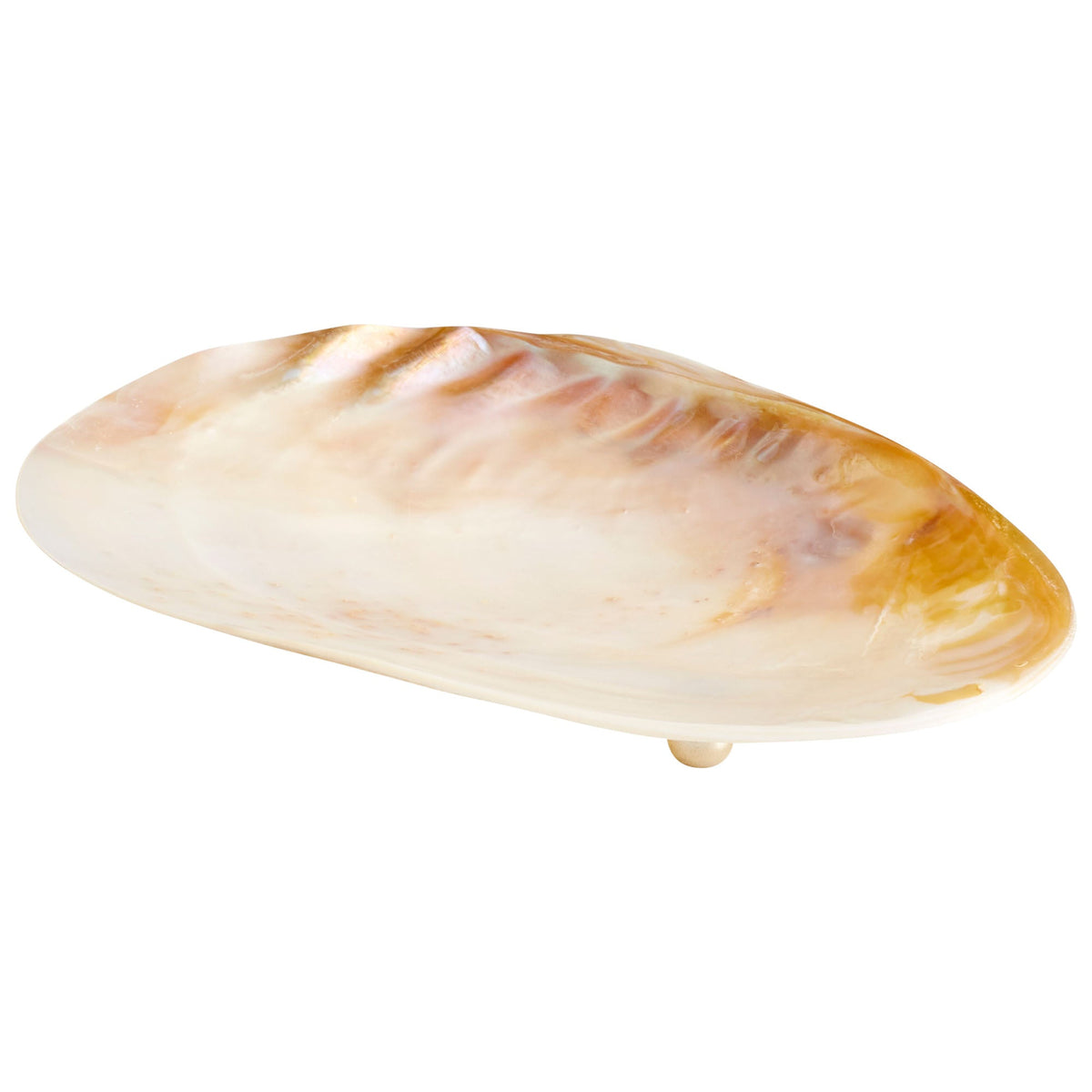 Small Abalone Tray by Cyan