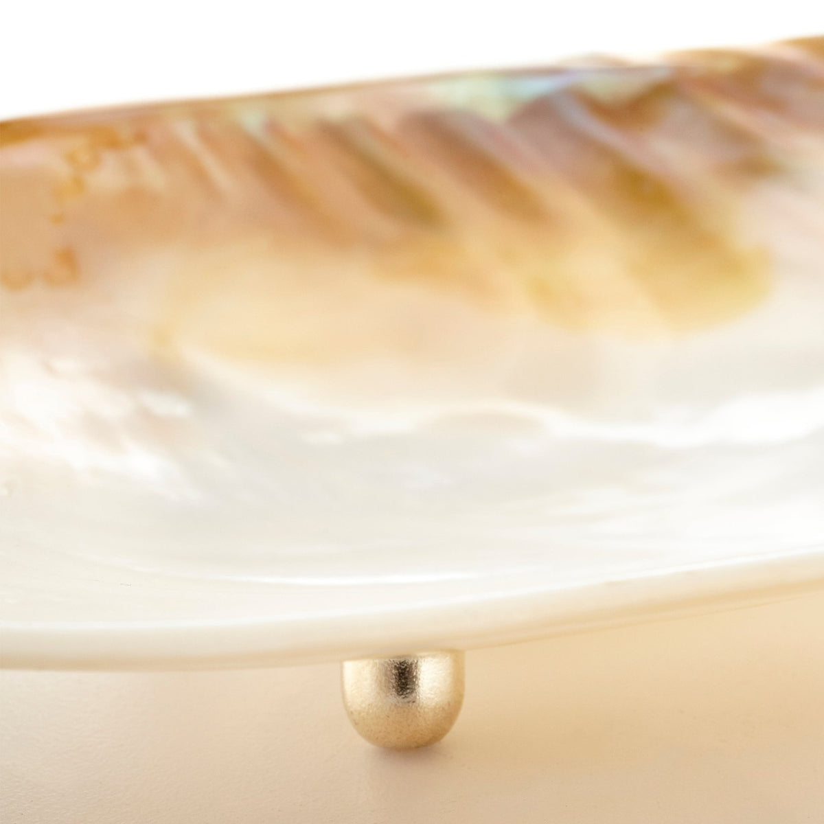Abalone Tray|Pearl-Large by Cyan