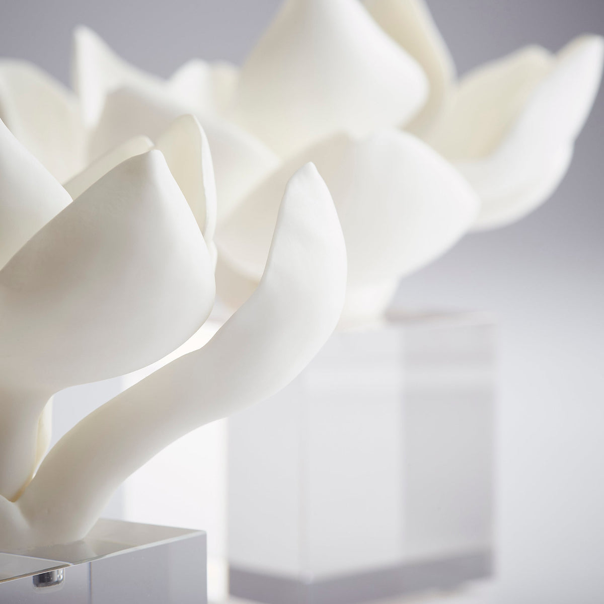 Magnolia Sculpture-SM by Cyan