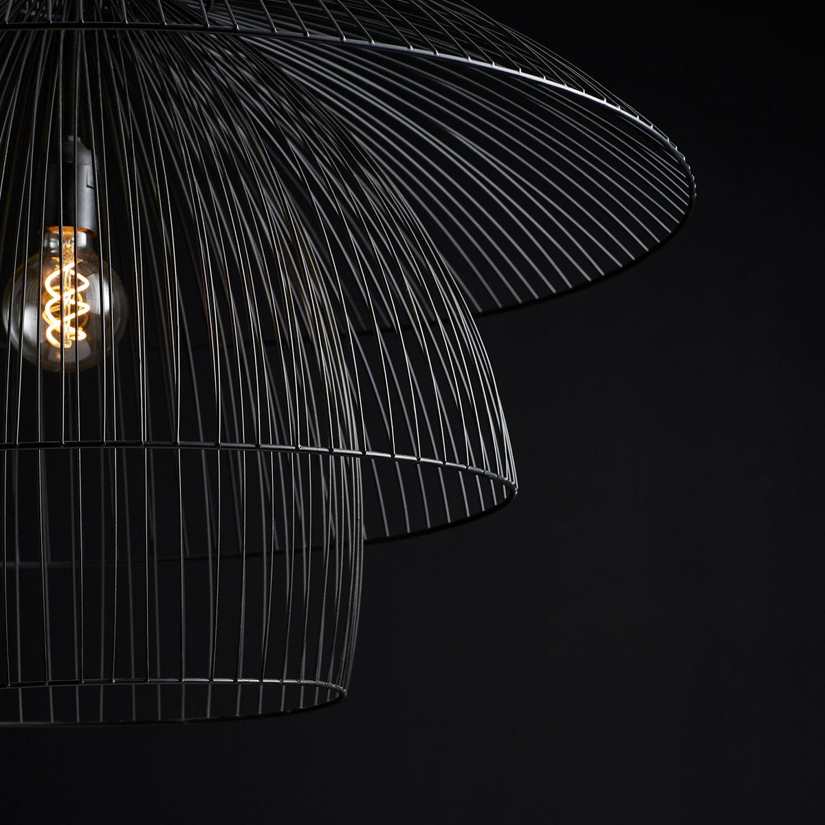 Canopy Pendant by Cyan