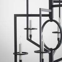 Oxalis Chandelier | Noir by Cyan