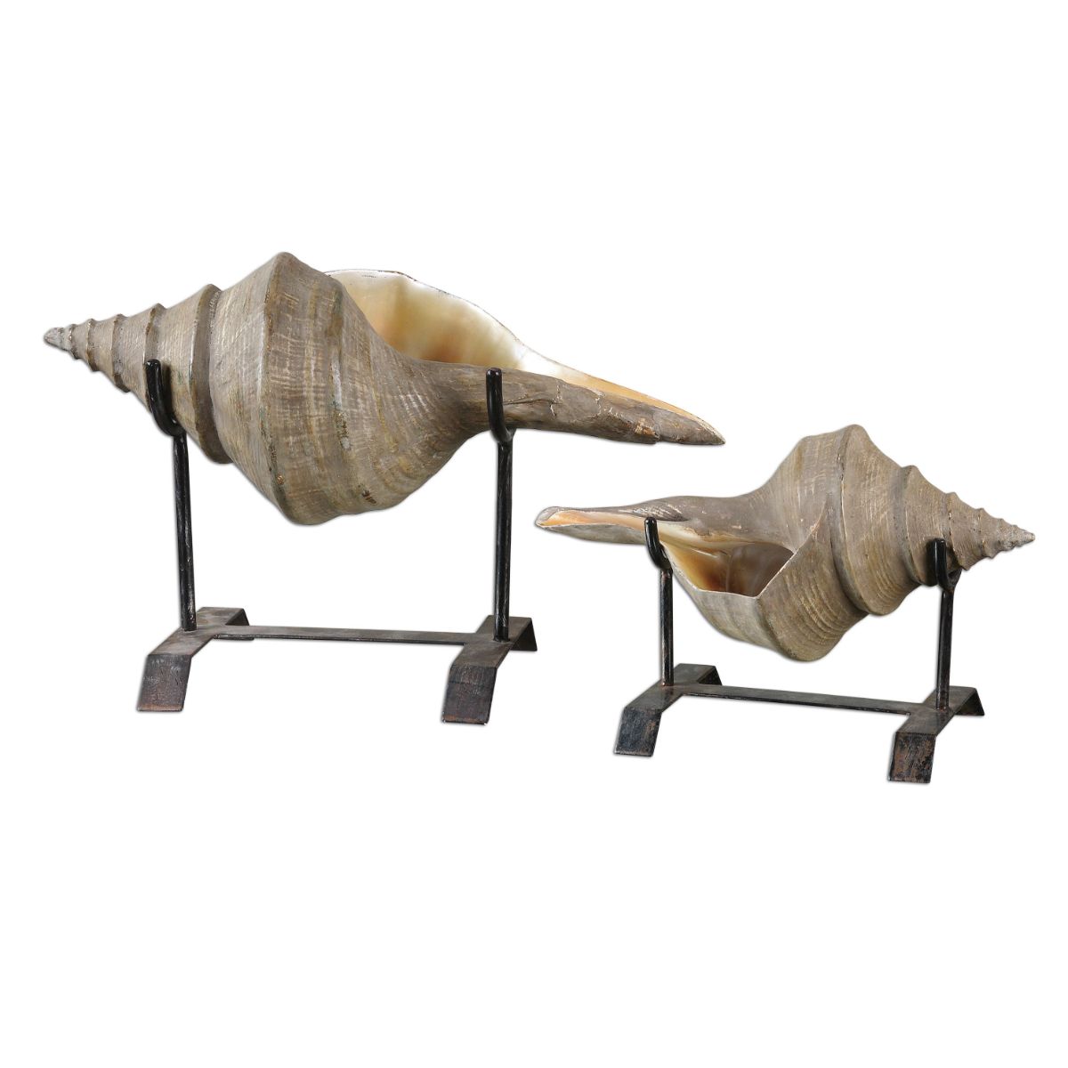 Uttermost Conch Shell Sculpture, Set/2