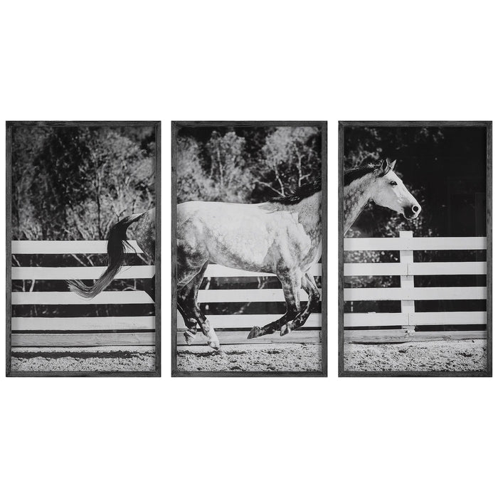 Uttermost Galloping Forward Equine Prints, Set/3