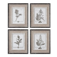 Uttermost Casual Grey Study Framed Art Set/4