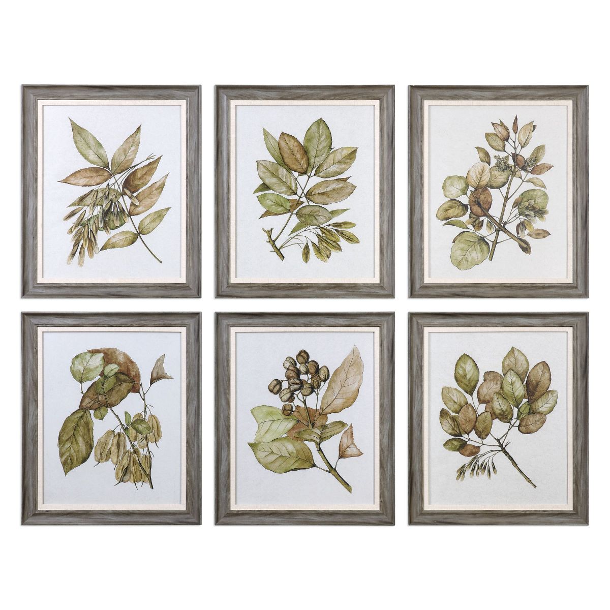 Uttermost Seedlings Framed Prints S/6