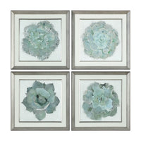 Uttermost Natural Beauties Botanical Prints S/4