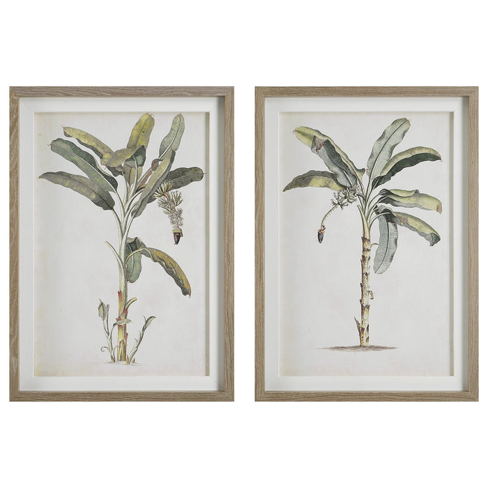 Uttermost Banana Palm Framed Prints, Set/2