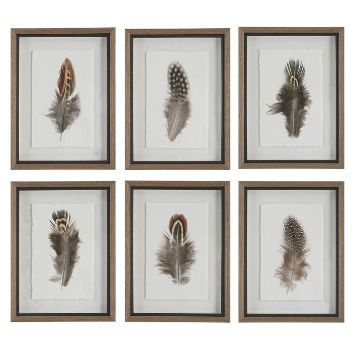 Uttermost Birds Of A Feather Framed Prints, S/6