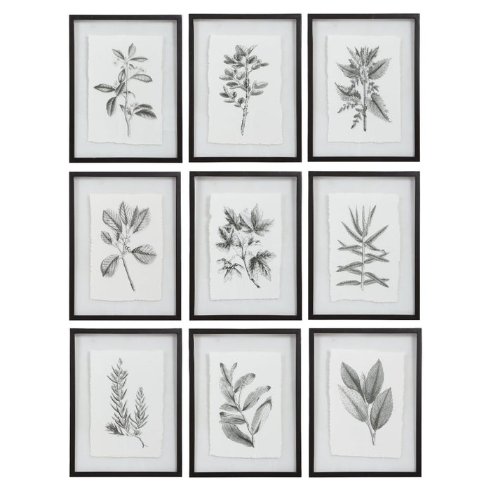 Uttermost Farmhouse Florals Framed Prints, S/9