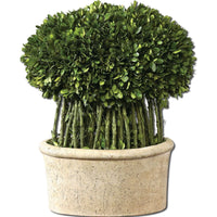 Uttermost Willow Topiary Preserved Boxwood