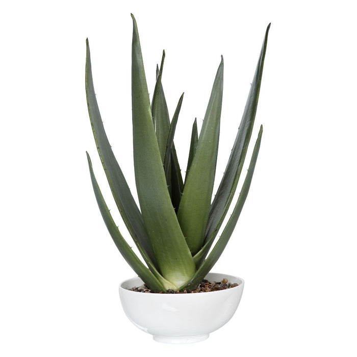 Uttermost Evarado Aloe Planter