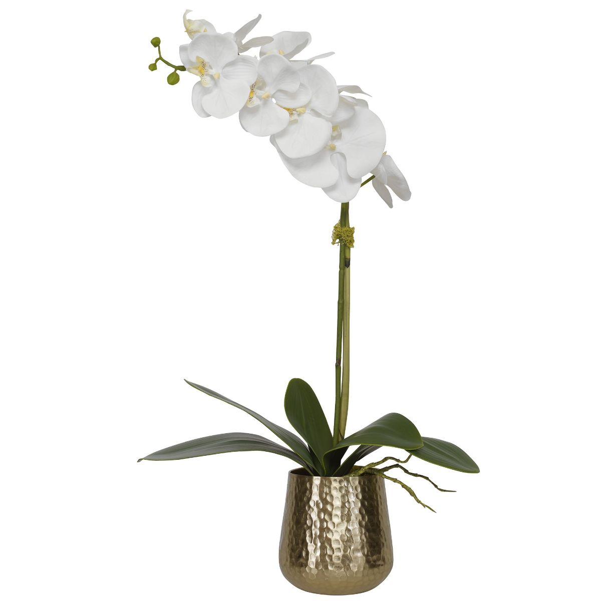 Uttermost Cami Orchid With Brass Pot