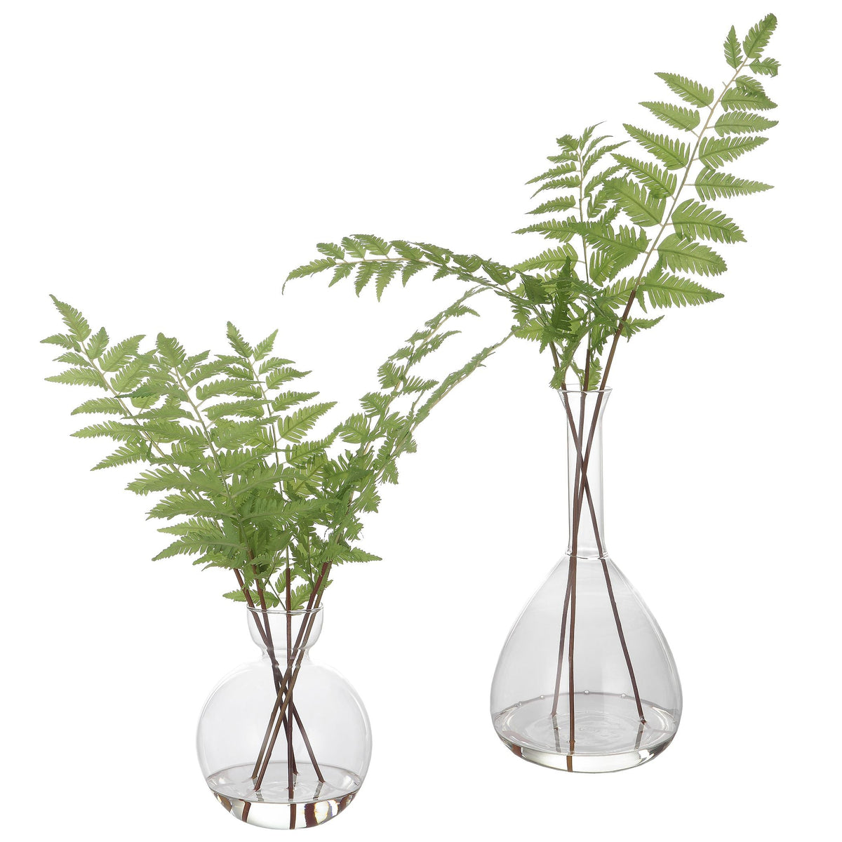 Uttermost Country Ferns, S/2