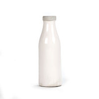 Distressed Crackle White Vase (6792M A369A) by Zentique