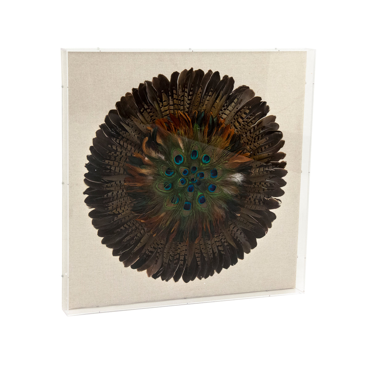 Abstract Feather Acrylic Framed Wall Art by Zentique