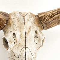 Bull Skull Wall Decor by Zentique