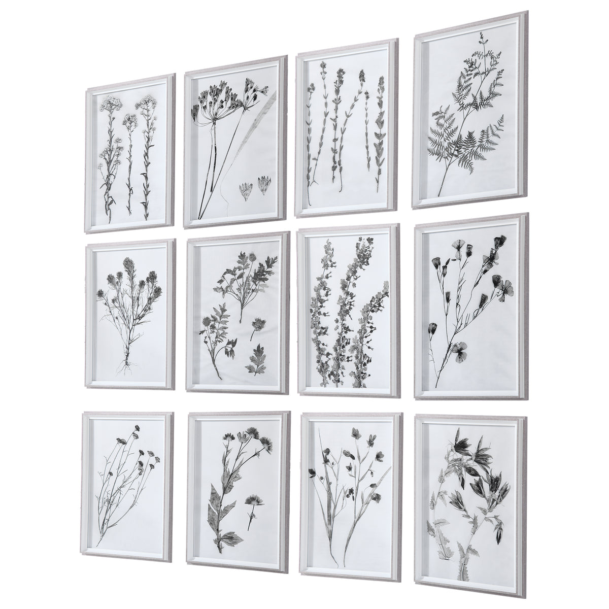 Uttermost Contemporary Botanicals Framed Prints, S/12