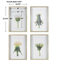 Uttermost Wildflowers Gold Framed Prints, S/4