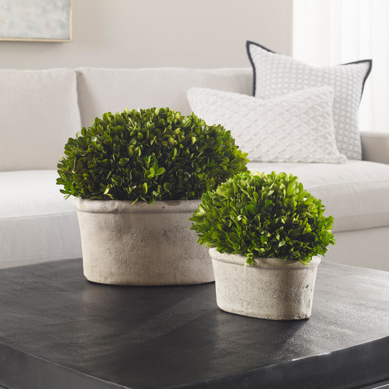 Uttermost Oval Domes Preserved Boxwood Set/2