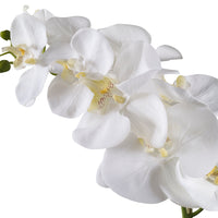 Uttermost Cami White Orchid