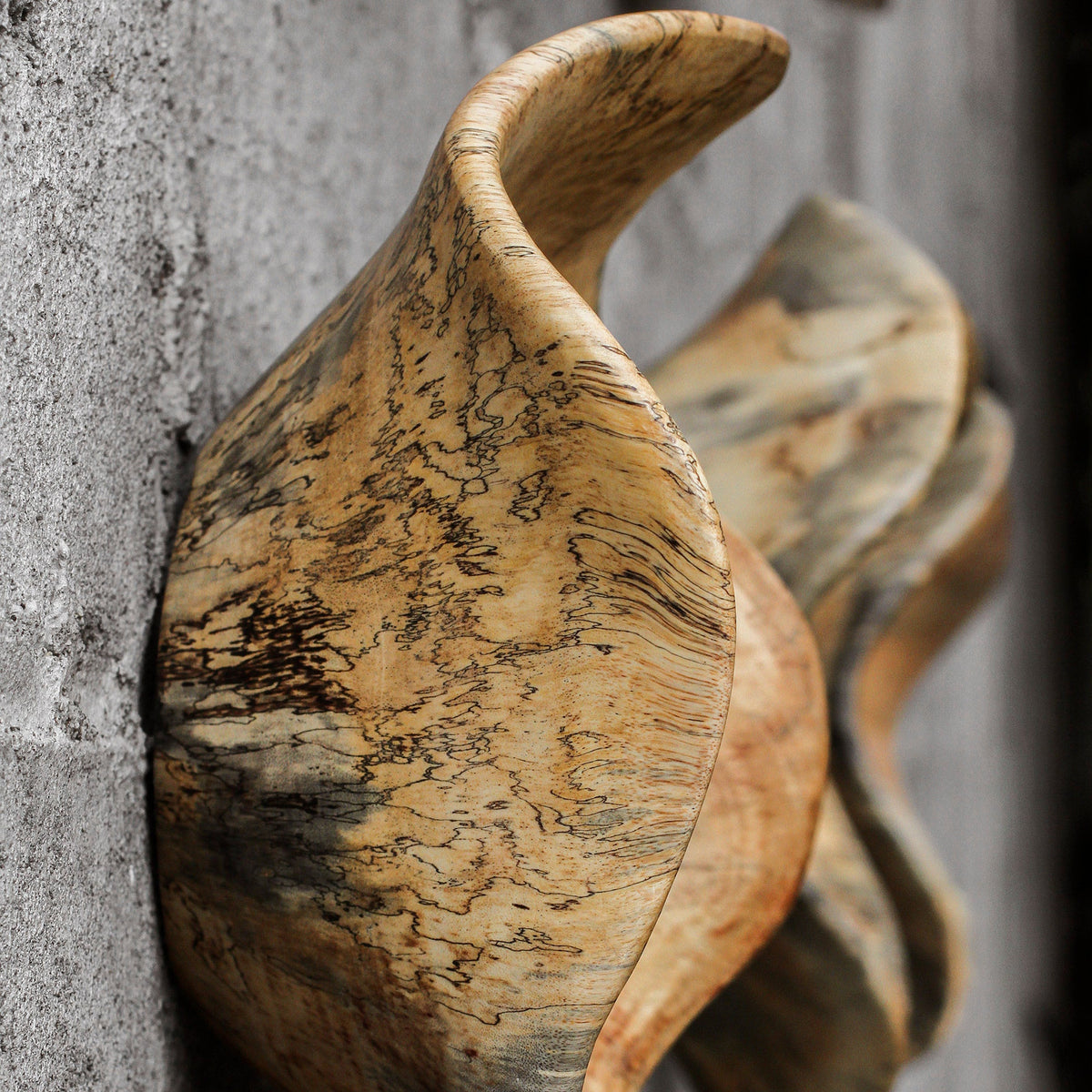Uttermost Tamarine Wood