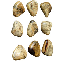 Uttermost Pebbles Blonde Wood Wall Decor, S/9