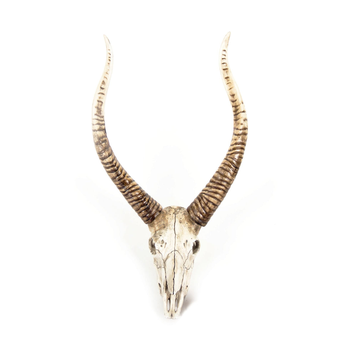 Goat Skull Wall Decor by Zentique
