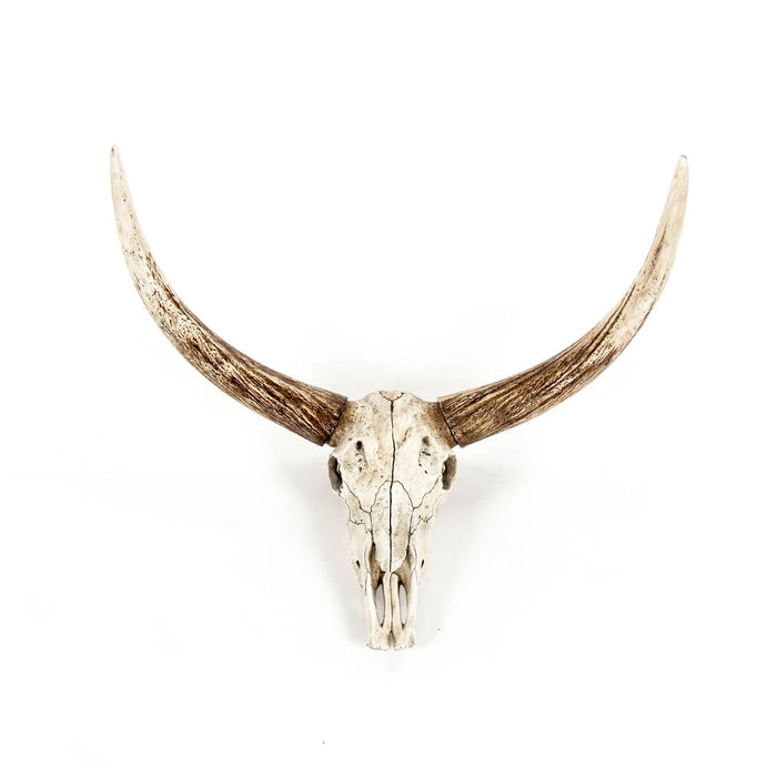 Bull Skull Wall Decor by Zentique