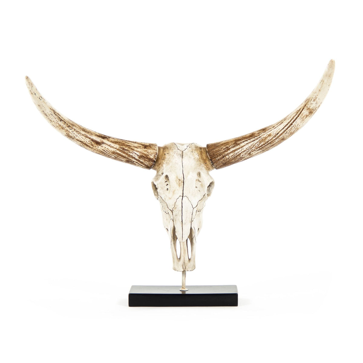 Bull Skull w/ Base by Zentique