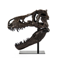 Dinosaur Skull w/ Base by Zentique