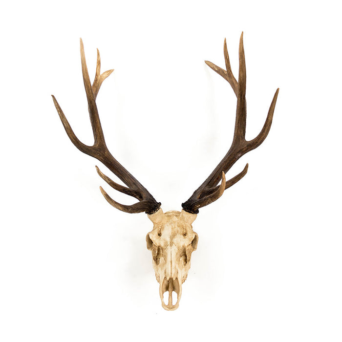 Deer Skull Wall Decor by Zentique