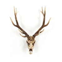 Deer Skull Wall Decor by Zentique