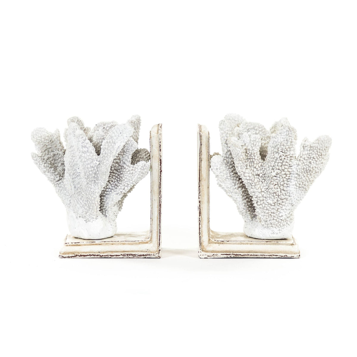 White Coral Bookends by Zentique