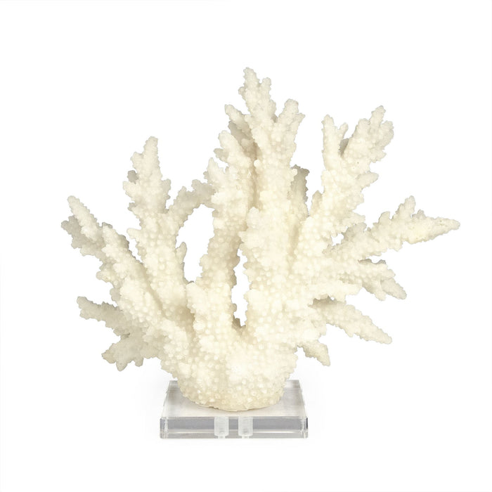 White Coral on Acrylic Base by Zentique