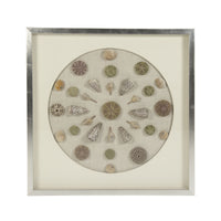 Abstract Shell Wall Art by Zentique